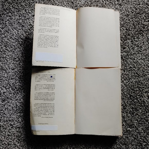 ISIS UNVEILED Two Volume Book by Madam Blavatsky - Picture 7 of 8